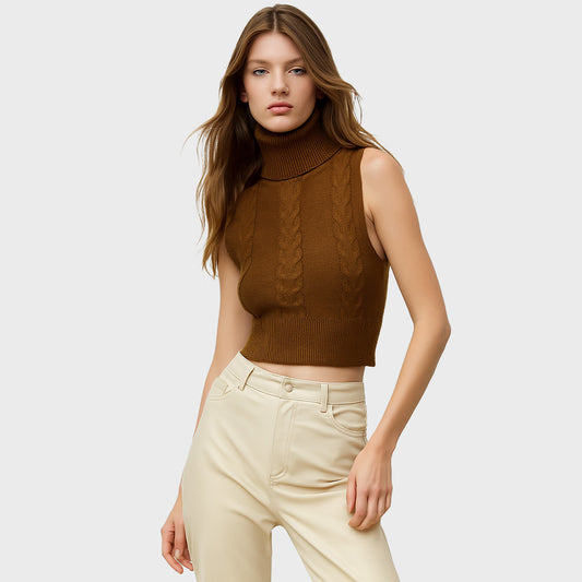Camel knitted high neck blouse